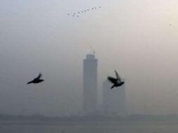 india-tv-4-1761008916