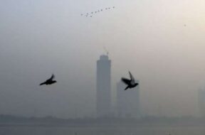 india-tv-4-1761008916