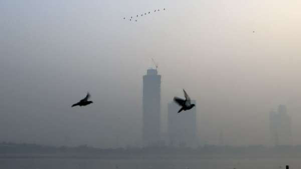 दिवाली 2025 : दिल्ली-NCR की हवा हुई ज़हरीली, ‘गैस चैंबर’ बने कई इलाके, CPCB ने दी यह सलाह