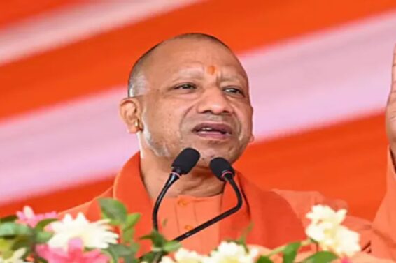 yogi