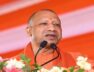 yogi
