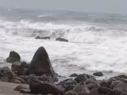 चक्रवाती तूफान मोंथा