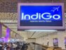 INDIGO