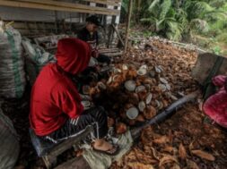 खोपरा की एमएसपी बढ़ी