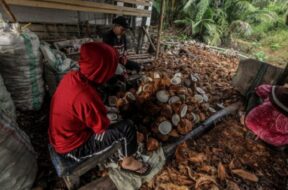 खोपरा की एमएसपी बढ़ी