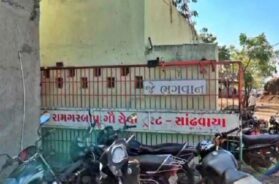 राजकोट की गोशाला में 80 गायों की मौत