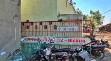 राजकोट की गोशाला में 80 गायों की मौत