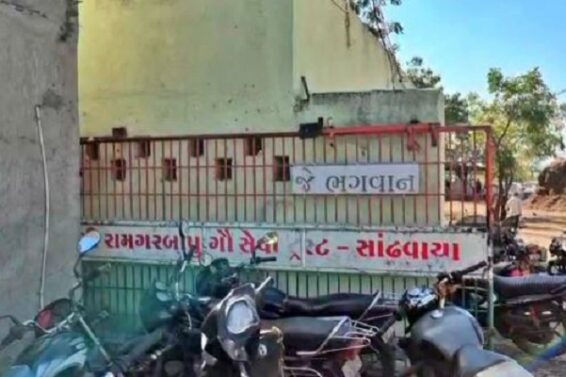 राजकोट की गोशाला में 80 गायों की मौत
