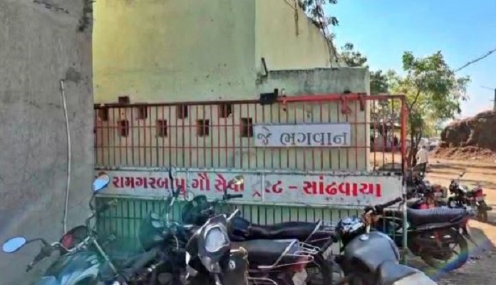 गुजरात : राजकोट की गोशाला में 80 गायों की मौत, अधिकारियों ने शुरू की जांच