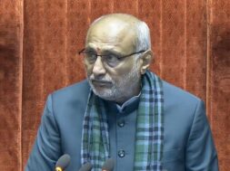 सभापति राधाकृष्णन