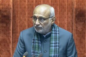 सभापति राधाकृष्णन