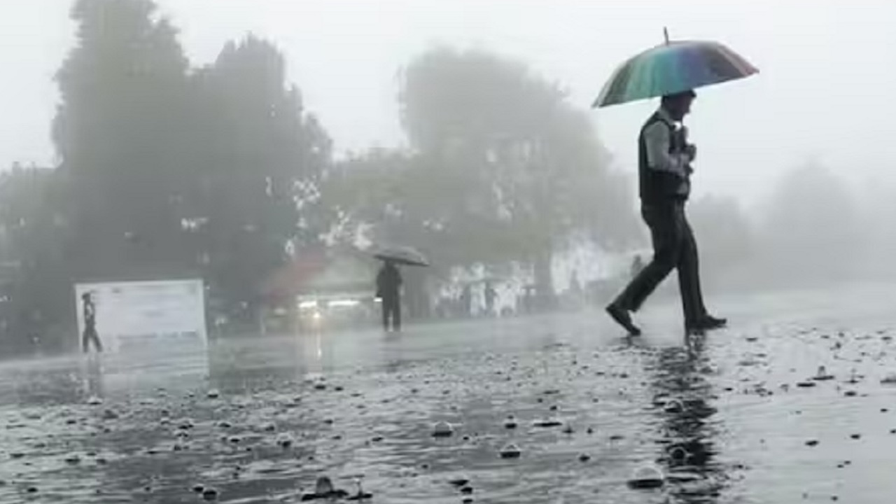 UP Weather : बारिश और ओलावृष्टि ने बढ़ाई यूपी ठिठुरन, सरसों-आलू की फसल पर आफत