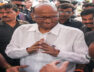 sharad-pawar