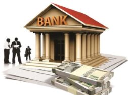 क्रिसिल रिपोर्ट