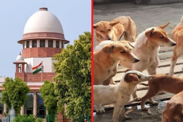 आवारा कुत्तों पर सुप्रीम कोर्ट की टिप्पणी – ‘कौन सा कुत्ता किस मूड में, यह किसी को पता नहीं होता’