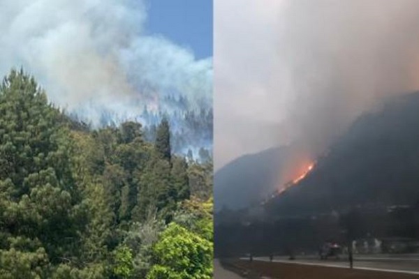 अरुणाचल प्रदेश और नागालैंड के जंगलों में लगी भीषण आग, वायु सेना ने 1.39 लाख लीटर पानी डालकर बुझाई आग