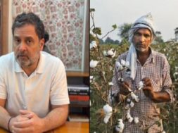 कपास किसान