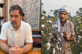 कपास किसान