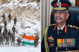 जनरल नरवणे