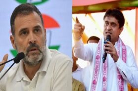 राहुल गांधी और उदय भानु चिब