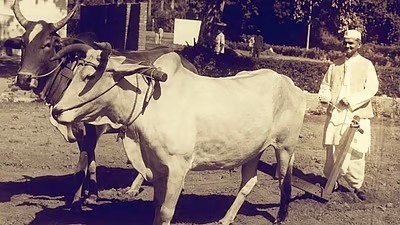 The Iran-US conflict tests our patience and mindset.