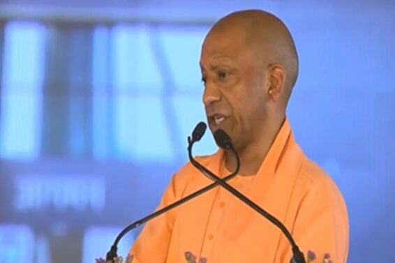 yogi