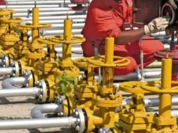 पीएनजी को बढ़ावा देने पर सरकारी प्रोत्साहमन