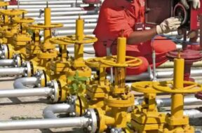 पीएनजी को बढ़ावा देने पर सरकारी प्रोत्साहमन