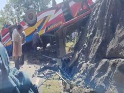 a705a3fe-2794-4318-a803-deb7d47a1a18