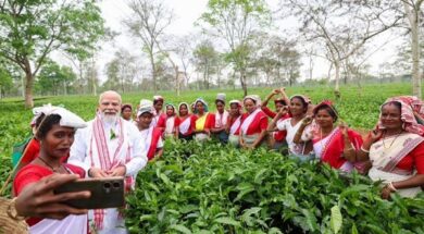 चाय के बागान में पीएम मोदी