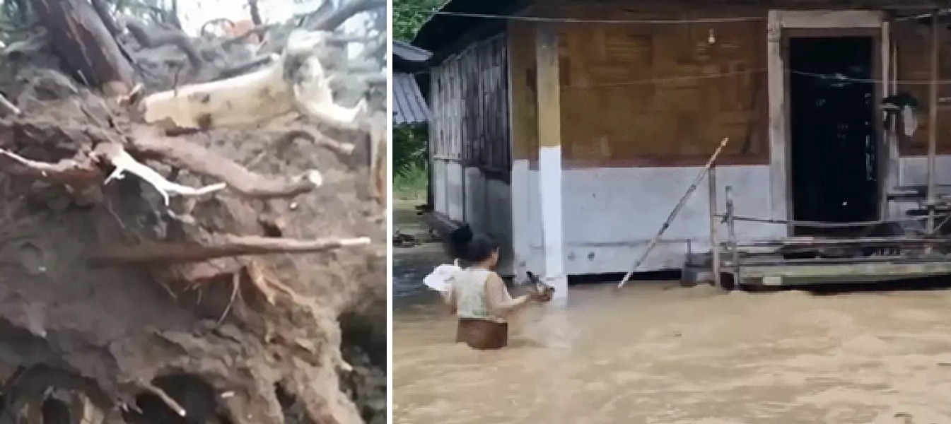 देशभर में मौसम का कहर: यूपी में पेड़ गिरने से 5 की मौत, बिहार-छत्तीसगढ़ में आकाशीय बिजली ने ली 8 जानें