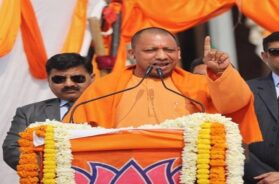 YOGI