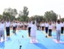 जबलपुर में योग करतीं राष्ट्रपति मुर्मु