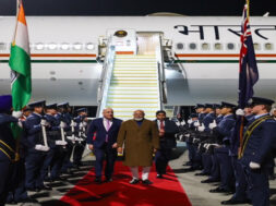 MODI NZ