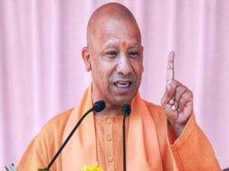 yogi