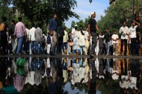 सीजेपी का प्रदर्शन