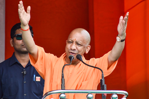 yogi0